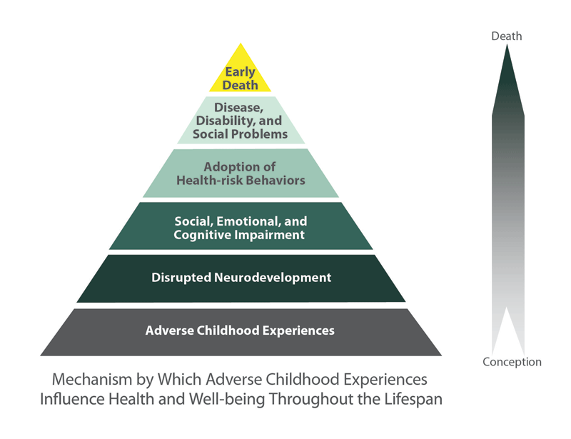 Adverse Childhood Experiences (ACEs) - Wirral Safeguarding Children ...