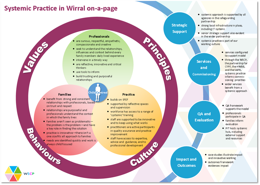 systemic practice in social work essay